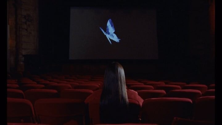 Welcome to the cinema BUTTERFLY EFFECT visualiser out nowThis beautiful animation was done by @liana_mavronanou