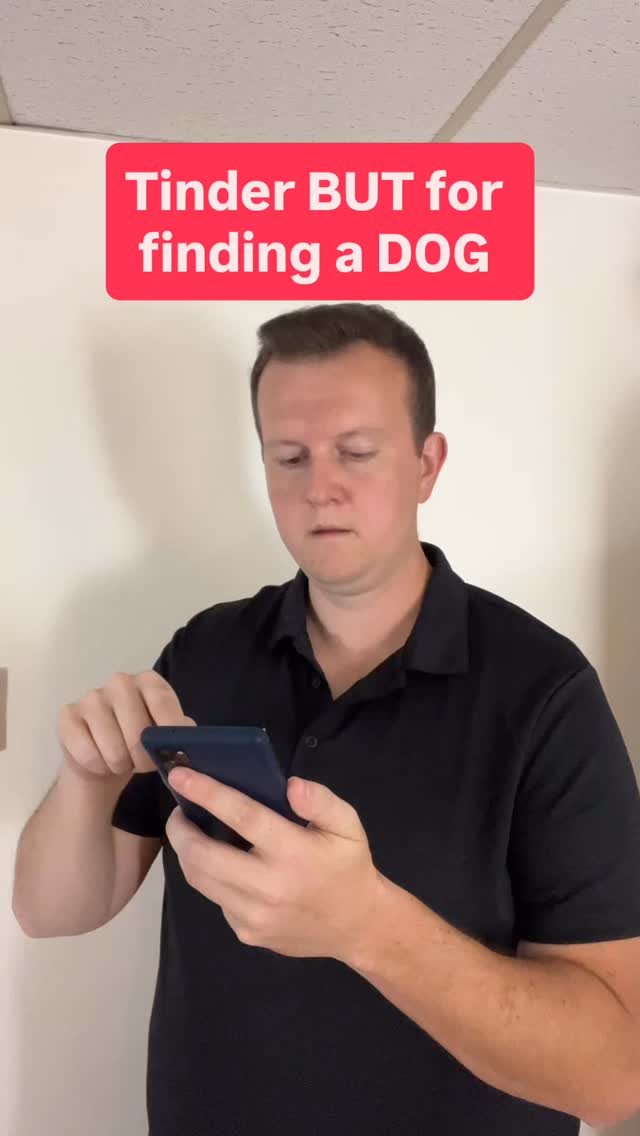 This video is not intended to offend my friends nor does it portray my views on their dogs (I have and will continue to pet all of them)#pets #lol