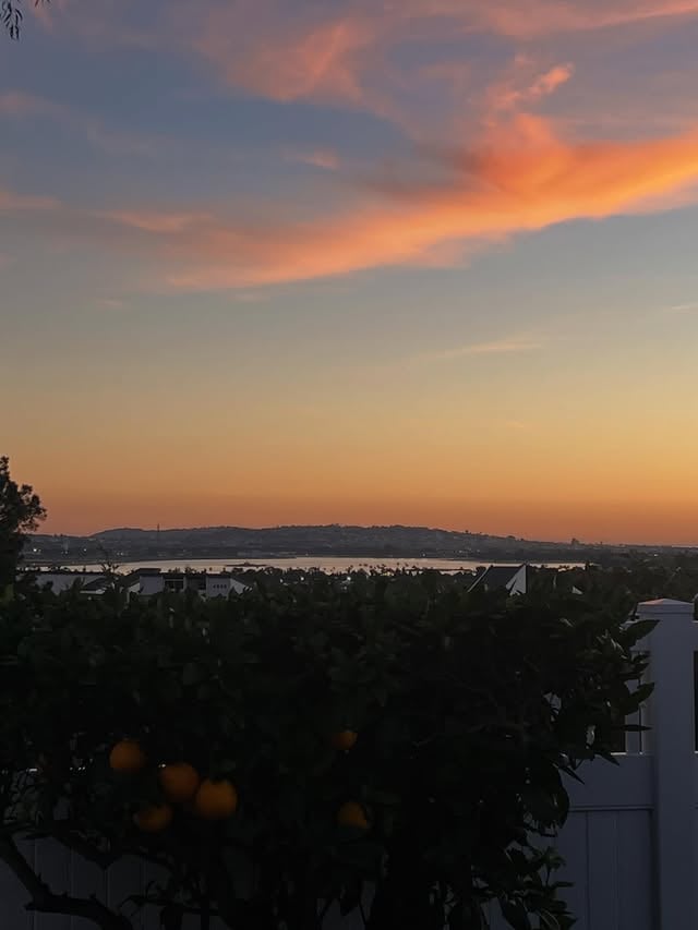 “El gran libro siempre abierto y que hay que hacer el esfuerzo de leer es el de la Naturaleza.”Antonio Gaudí “The great book, always open and which we should make an effort to read, is that of Nature.” #naturaleza #nature #sunset #ocaso by @dradianeperez