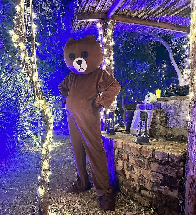 she was a teddy