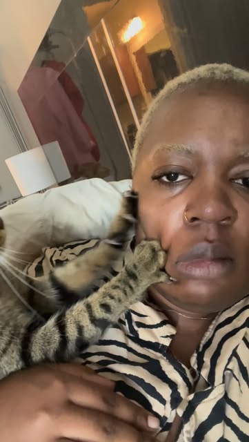 The video that started it all. So grateful for…his harassment techniques #cats #clingycat #catsofinstagram #tabbycat #catlovers