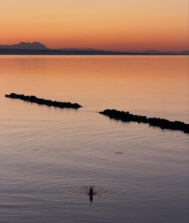 Trovare la bellezza, nonostante tutto by @gretaferro