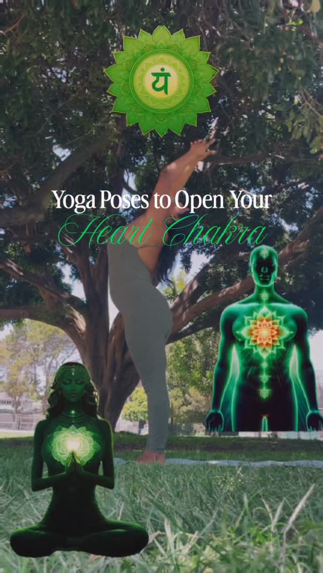 Your heart chakra is blocked if you feel emotionally closed off, keep people at a distance without knowing why or sometimes the ability to give and receive love is closed off. We all struggle with blockage at some point 💚To practice opening your heart chakra and to invite in more love, connection, & compassion, here are three level 2 yoga poses:🌿 standing backbend🌿 camel🌿 full wheel💚 For full length classes, visit me @thedivineflowlab by @shainapriya_