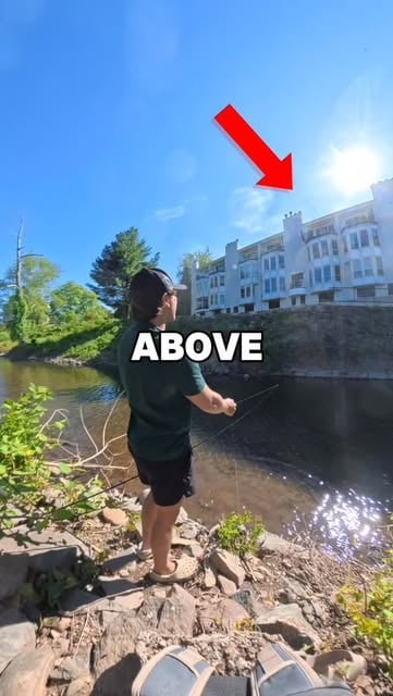 Caught a fish, then this happened… 
.
.
.
#fishing #fishingdaily #fishing🐟 #bassfishing #fishinglife
