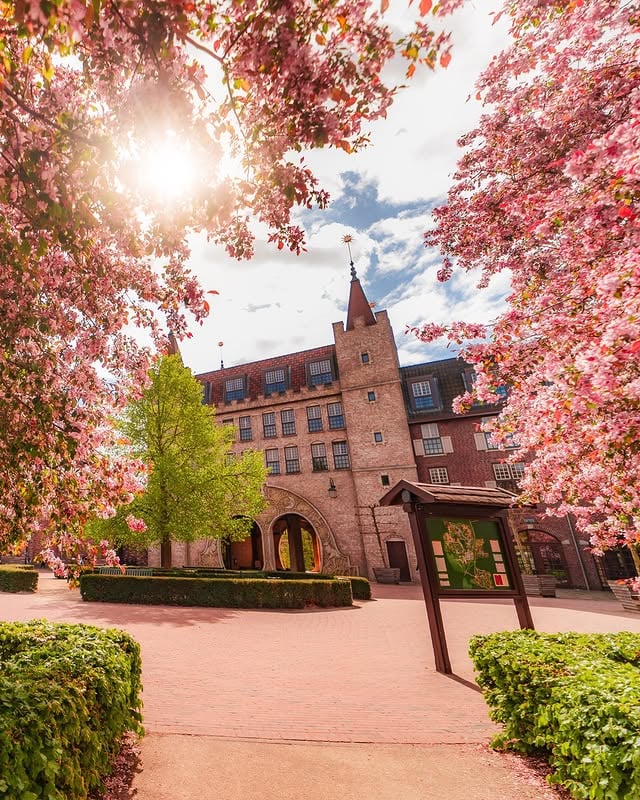 Diese wunderschöne Natur macht den Ferienpark Efteling Bosrijk im Frühling zu etwas ganz Besonderem! 😍🌸 Würdest du hier auch gerne mal übernachten? by @efteling_de