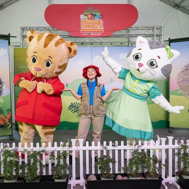 Ding ding! It’s time! Daniel Tiger’s Neighborhood at the Bronx Zoo is open. Drop a 🐯 in the comments if you’re excited to visit!Spend a grr-ific day at the Bronx Zoo with your family and experience live performances, photo ops, interactive elements, as well as the first-ever life-sized Trolley from @danieltigertv! Guests are invited to climb on board, ring the bell, and snap a photo. Get your tickets today: Link in Profile 🐯 📷: WCS Photographer, Terria Clay by @bronxzoo