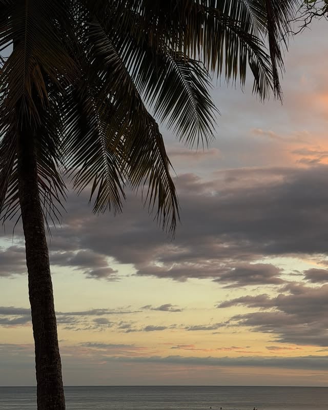 In stillness, you find yourself. In movement, you become yourself. by @aloyoga
