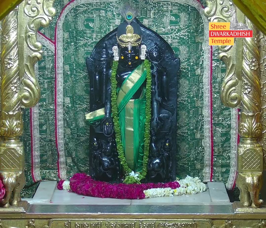 राजाधिराज द्वारकाधीश जी के मङ्गला आरती दर्शन 🙏🏻
श्री द्वारकाधीश मंदिर द्वारका,गुजरात
दिनांक :- 04/06/2026 गुरुवार 
 
#dwarka #manglaaarti
#ShridwarikadhishmandirOfficial