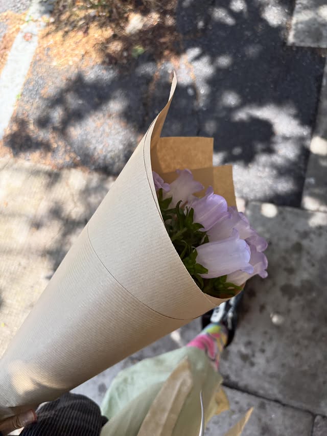 유럽 투어 곧 끝나가는데… 시원 섭섭 마음에 사진 아껴두지말고 맘껏 올려야지🙈🐞🌱🌷🫧