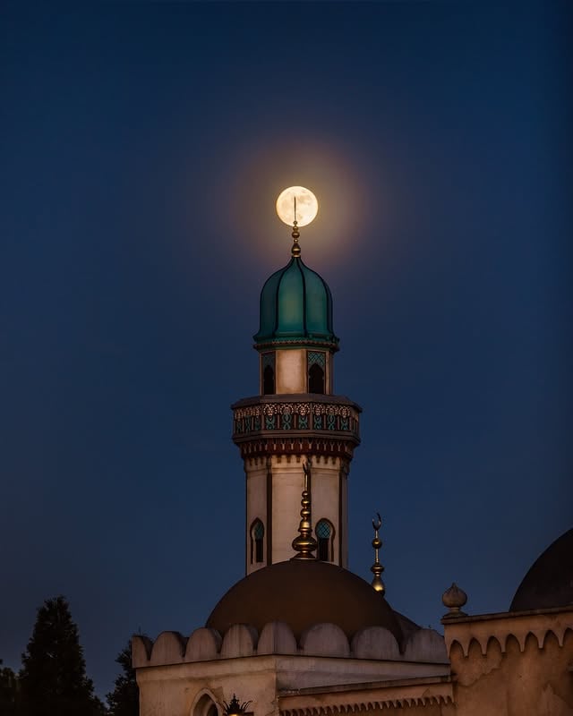 Der Vollmond macht Efteling geheimnisvoll! 🌕✨ Wo würdest du in der Nacht gerne mal reinschauen? 👀 by @efteling_de