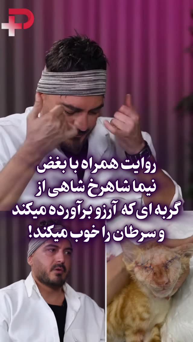 روایت همراه با بغض نیما شاهرخ شاهی از گربه ای که آرزو برآورده میکند و سرطـ. ان چند نفر را هم خوب کرده.....📹 Tvplus by @hashiyeh_plus