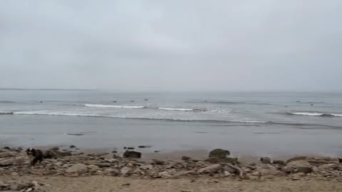 It looks like an ordinary beach. To me, it was much more. Not one month after returning from the mission, the world was still new again. I felt the wonder of standing on west coast sand, having driven from Santa Barbara to Ventura early in the morning of another interview trip. Every detail, natural and cultural, jumped out at me like a welcoming.The people around me didn’t know I was feeling an electric gratitude for the gift of this moment. They didn’t know that when I looked out I saw the same ocean that cradled our space capsule just weeks ago; that when I looked up, I saw vividly what the sky looks like from the other side. They didn’t know I was nervous to find a friend of a friend who would show me the ropes in a new surf break, or how I wasn’t sure I was ready to wade into either California swell or new social interactions. But the want to connect to both nature and something of my own, plus the kindness of a stranger, led to a soul-filling session that I will never forget. When the Earth was still new. by @astro_christina