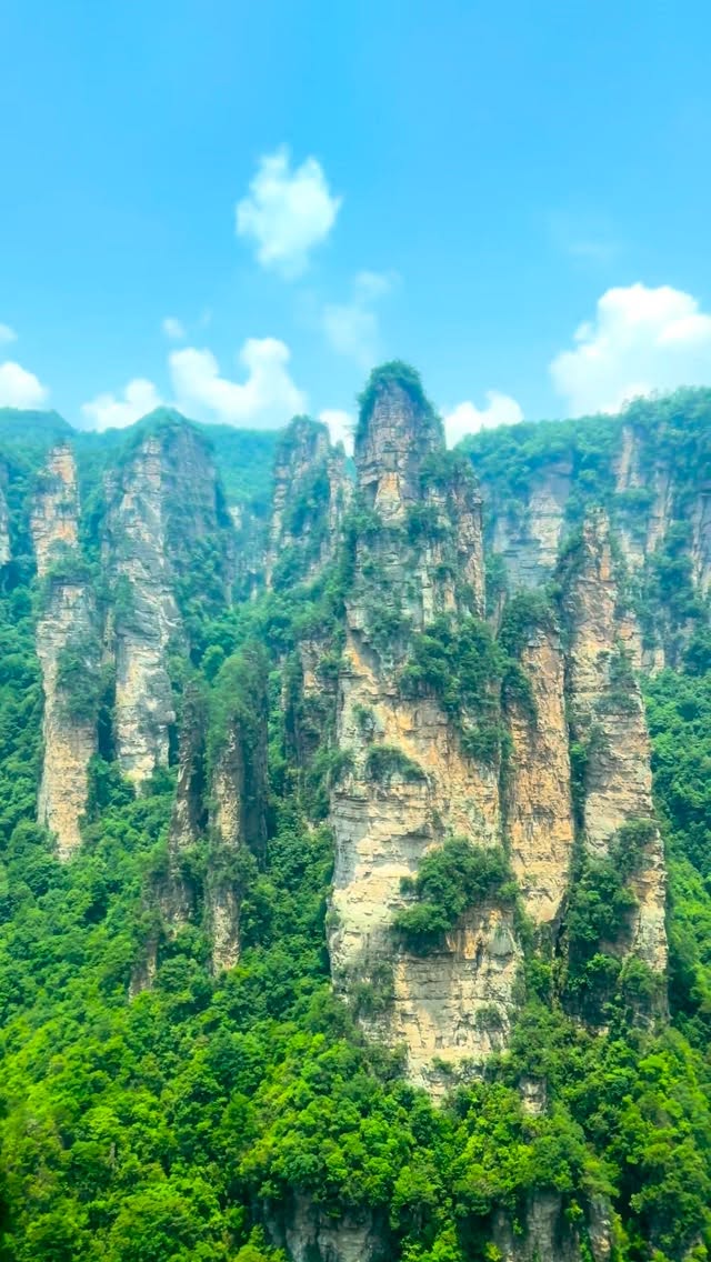 Лифт Ста Драконов 
🐲
百龙电梯