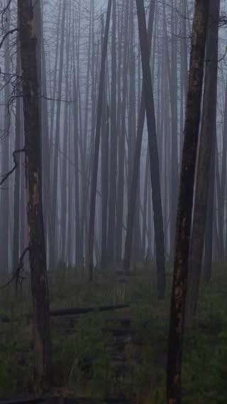 Ноябрь 2025 года. Эверест. Высочааййшая точка планеты — 8849 метров.

Анджей Баргель, польский лыжник-экстремал. Ему 36 лет. Он уже спускался на лыжах с К2 — второй по высоте горы мира. Теперь — Эверест.

Но не просто спуск. Без дополнительного кислорода. Никто до него этого не делал.

Выше 8000 метров — «зона см**ти». Кислорода там настолько мало, что организм начинает ум**ать. Каждый вдох — борьба. Каждое движение — на пределе.

Баргель провёл почти 16 часов в зоне см**ти. Поднялся на вершину. Встал на лыжи. И поехал вниз.

Спуск по Кулуару Хорнбейна — один из самых опасных маршрутов. Крутые склоны, лёд, скалы, пропасти. Одна ошибка — и падение на тысячи метров.

Он доехал до базового лагеря.

Мировой рекорд. Первый человек в истории, который поднялся на Эверест и спустился на лыжах без кислородной маски.

До него пытались другие. Не получалось. Кто-то пог**ал. Кто-то разворачивался. Баргель — доехал.

AH0LOCXM