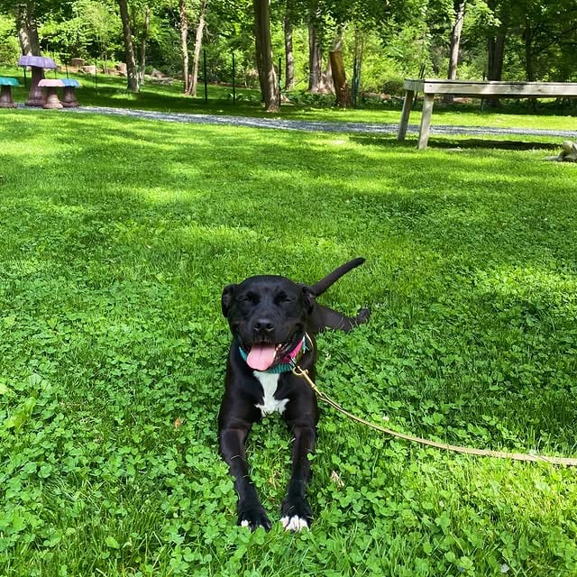 Jude wishes everyone a great Saturday! ☺️🩵