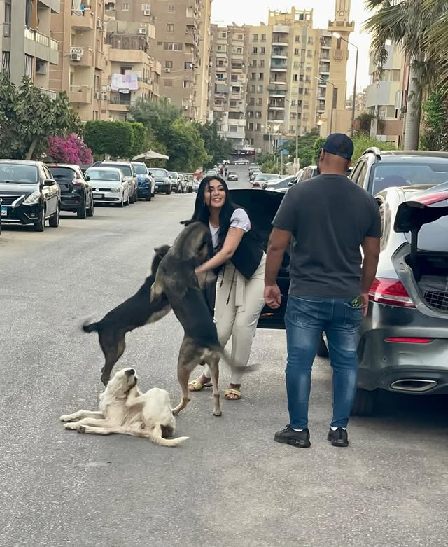 ⁨	أطيب و أغلب و أوفى خلق الله .. الكلب من خلق الله .. زيك..
ذنبه ايه انه مرمي في الشارع؟ 
كائن مسكين لا حول له ولا قوة .. لا بيتكلم ولا يملك يضمن لنفسه أكل و لاشرب و لا مأوى من حر ولا من برد .. ولا علاج من ألم ولا يقدر على قسوة البشر و ما أدراك ما قسوة البشر !!
هما اللي خايفين مننا.. هما اللي يتمنوا يعيشوا بعيد عننا في أمان! 
هل انت كا بني آدم كنت هاتعمل ايه لو  لاقيت نفسك مخلوق ضعيف وسط مخلوقات تقدر تعذبك و تضربك و تخبطك بعربية و تحطلك سم في أكل بتجري عليه من جوعك و ضعفك و انتظارك انهم يعطفوا عليك !!
ارحموهم لوجه الله .. ربنا اسمه الرحيم.⁩ 
و الناس اللي بتخاف من كلاب الشوارع أو اتأذت منهم الحل مش قتلهم و تسميمهم ده ذنب كبير و تصرف وحشي .. لازم حل يحقق الأمان للناس و برضو يحمي الحيوان اللي ربنا خلقه يعيش في سلام مش يتقتل.