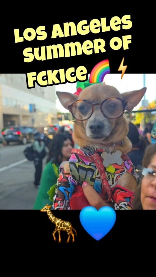 Los Angeles, Summer of FckICE! 🌈🦒🚒💙#losangeles by @ice_out_ofla