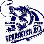 terrafish.biz(terrafish.biz)'s profile avatar